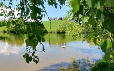 Ausflug zum Schwaltenweiher